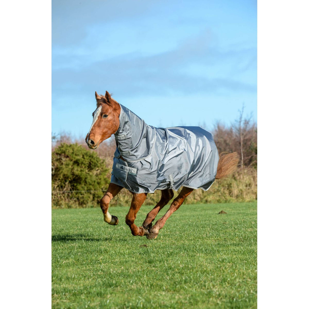 Bucas Couvre-Cou Smartex Combi Neck 300g Iron Gate