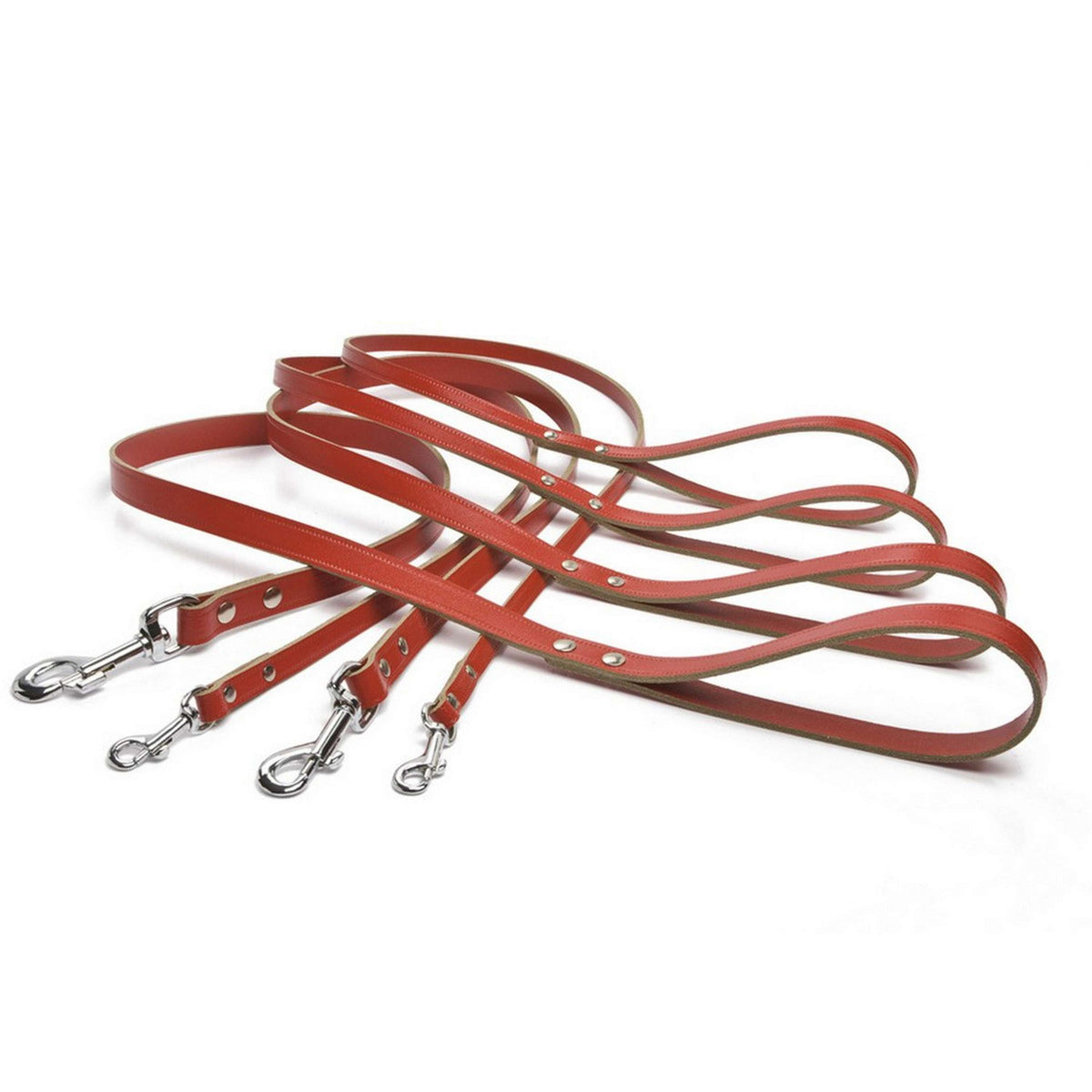 Beeztees Ipts Leash Enjoy Rouge