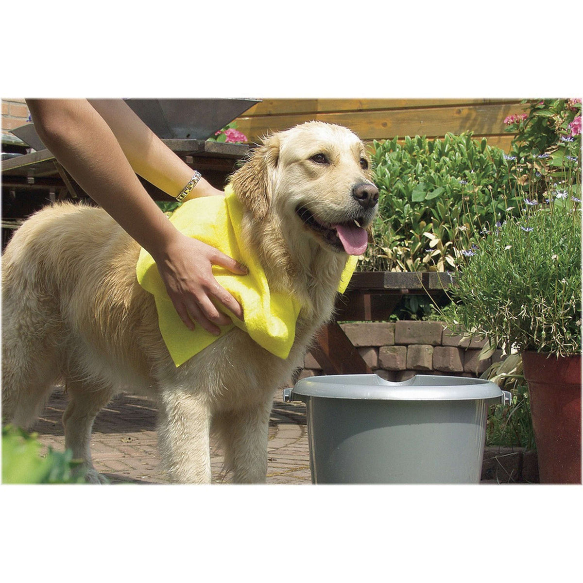 Beeztees Serviette pour Chien