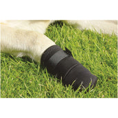 Beeztees Sabot de Protection Pour Chiens Noir