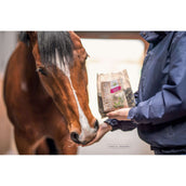 Bense & Eicke Friandises pour Cheval Wiesen Happies Graines de Lin Rose Musquée