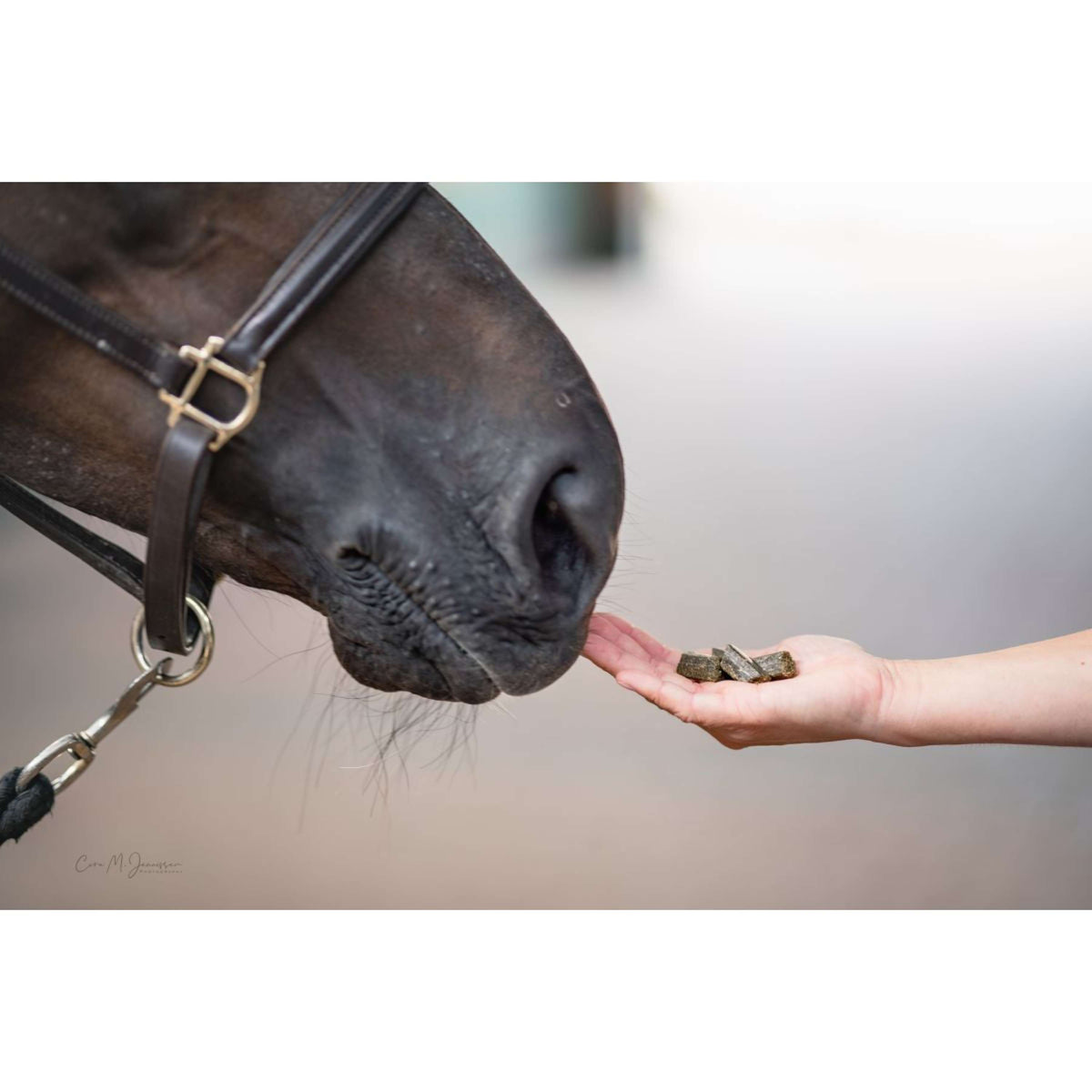 Bense & Eicke Friandises pour Cheval Wiesen Happies Baie Sauvage Herbes