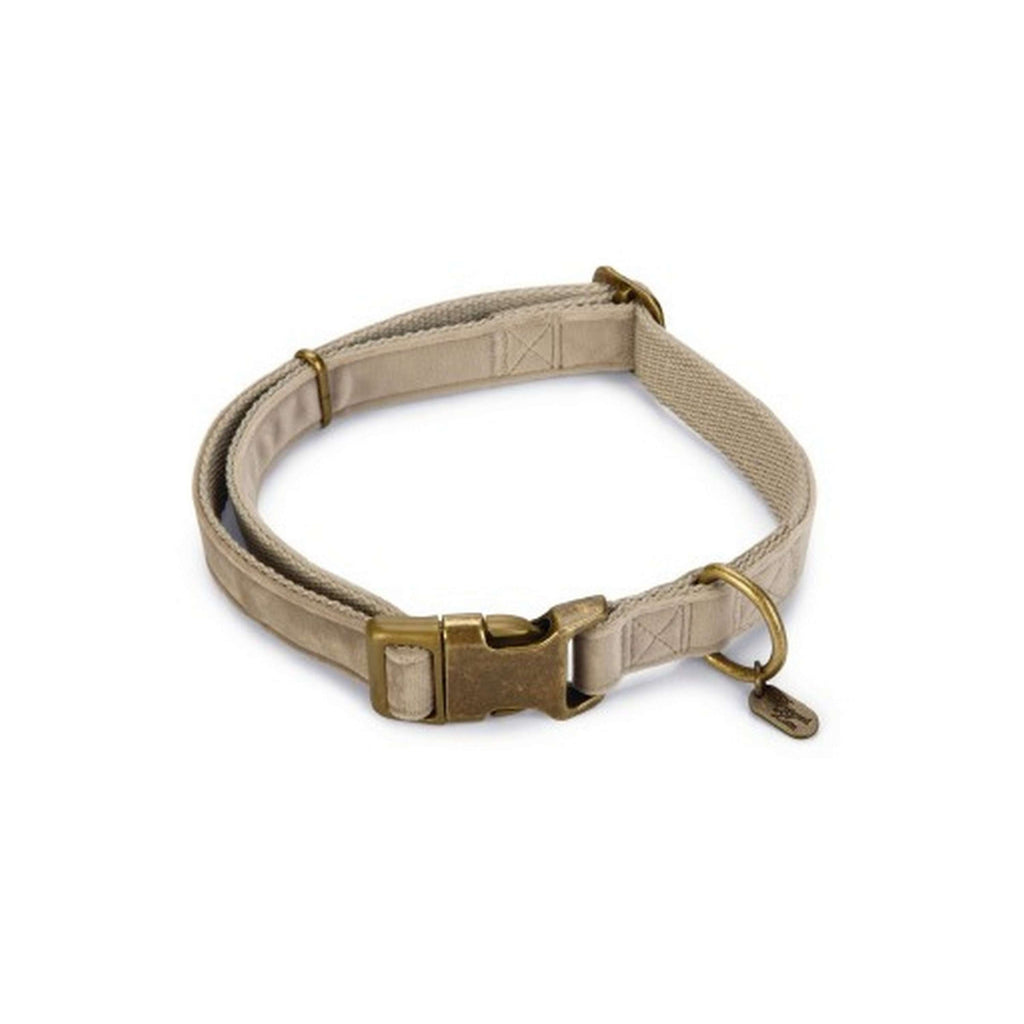 Designed by Lotte Collier pour Chien Velura Velours Gris