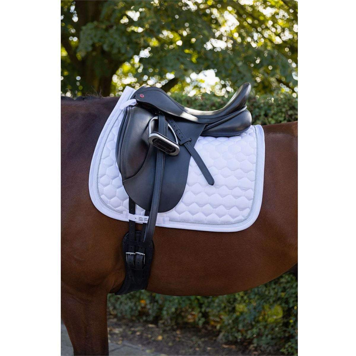 BR Tapis de Selle Zamora C-Wear Dressage Blanc