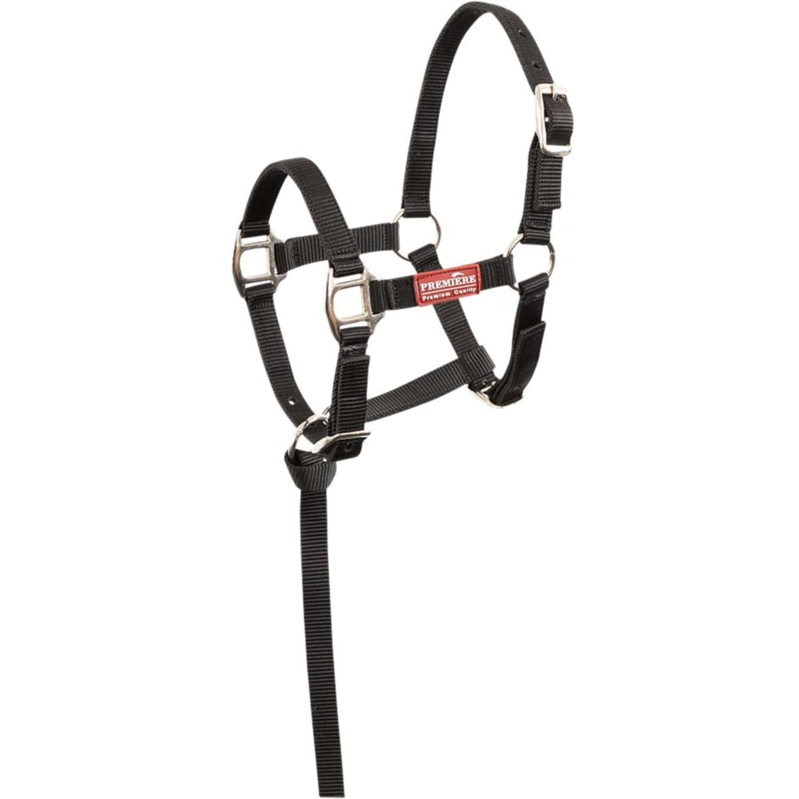 Premiere Ensemble Poulain Halser Brisk Avec Mini Ligne Noir Premiere Ensemble Poulain Halser Brisk Avec Mini Ligne Noir