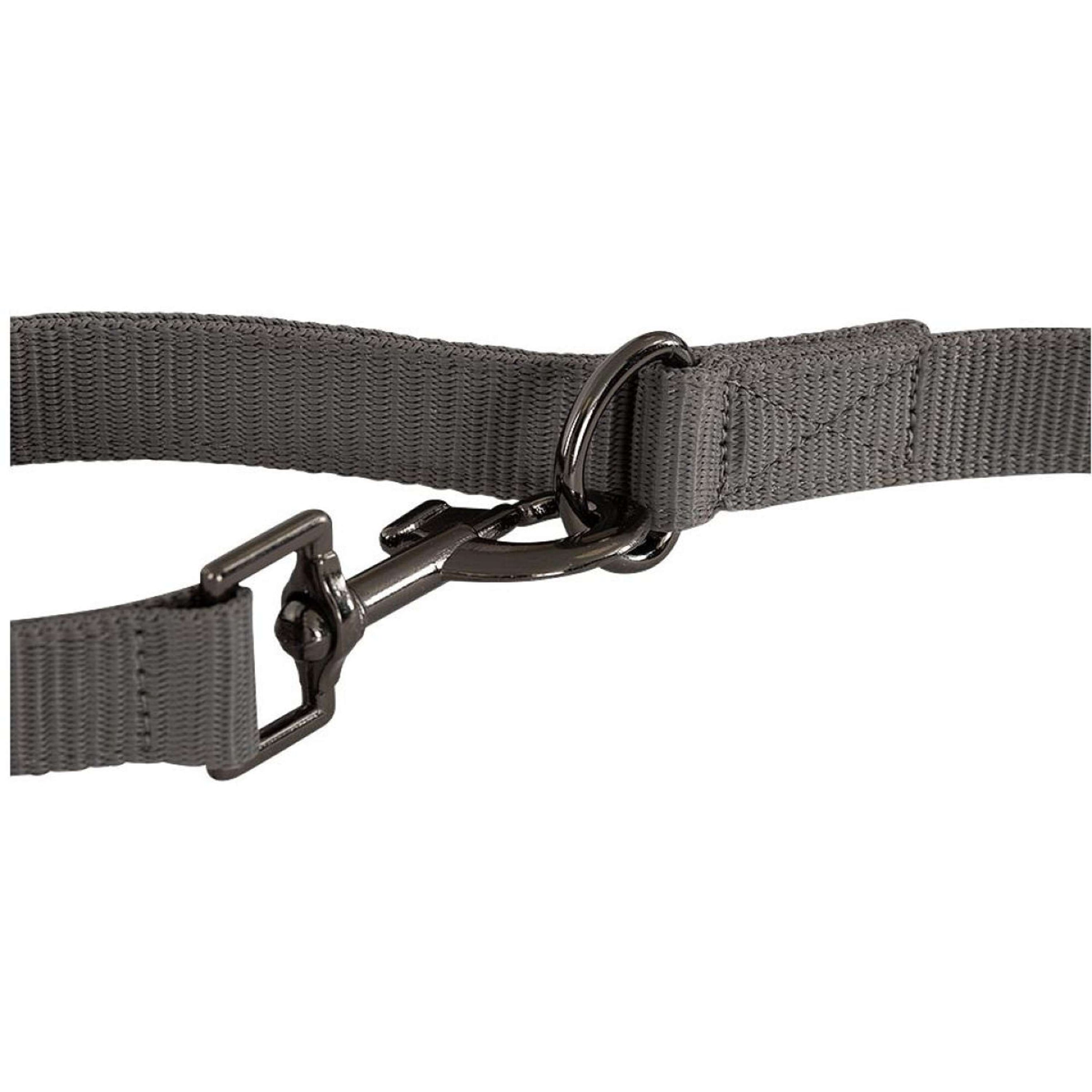 BR Hondenriem Laisse pour Chien Quiet Shade