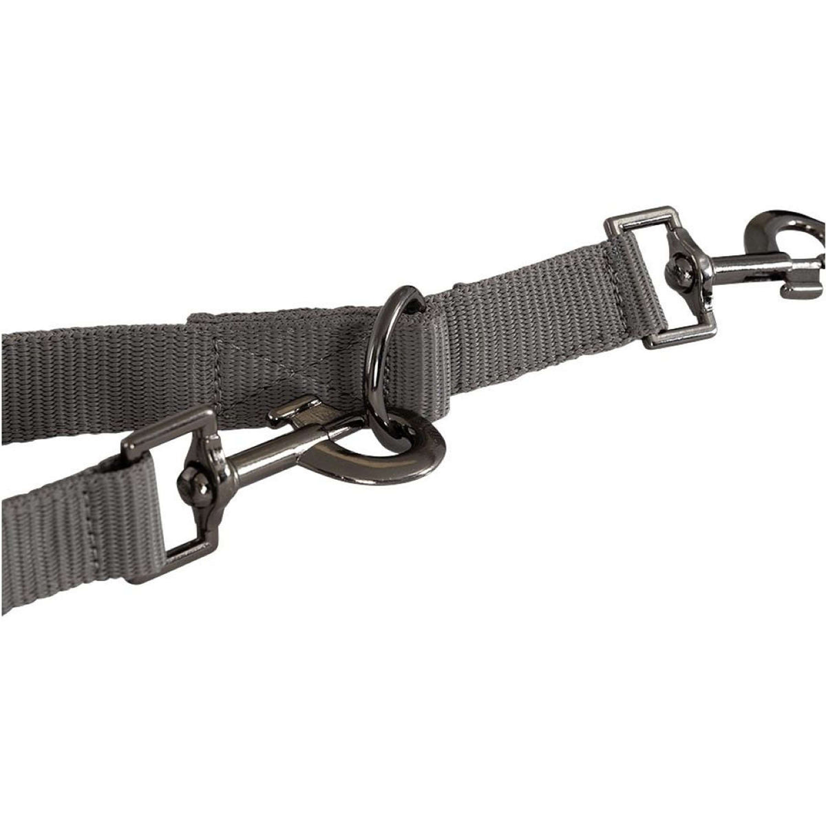 BR Hondenriem Laisse pour Chien Quiet Shade