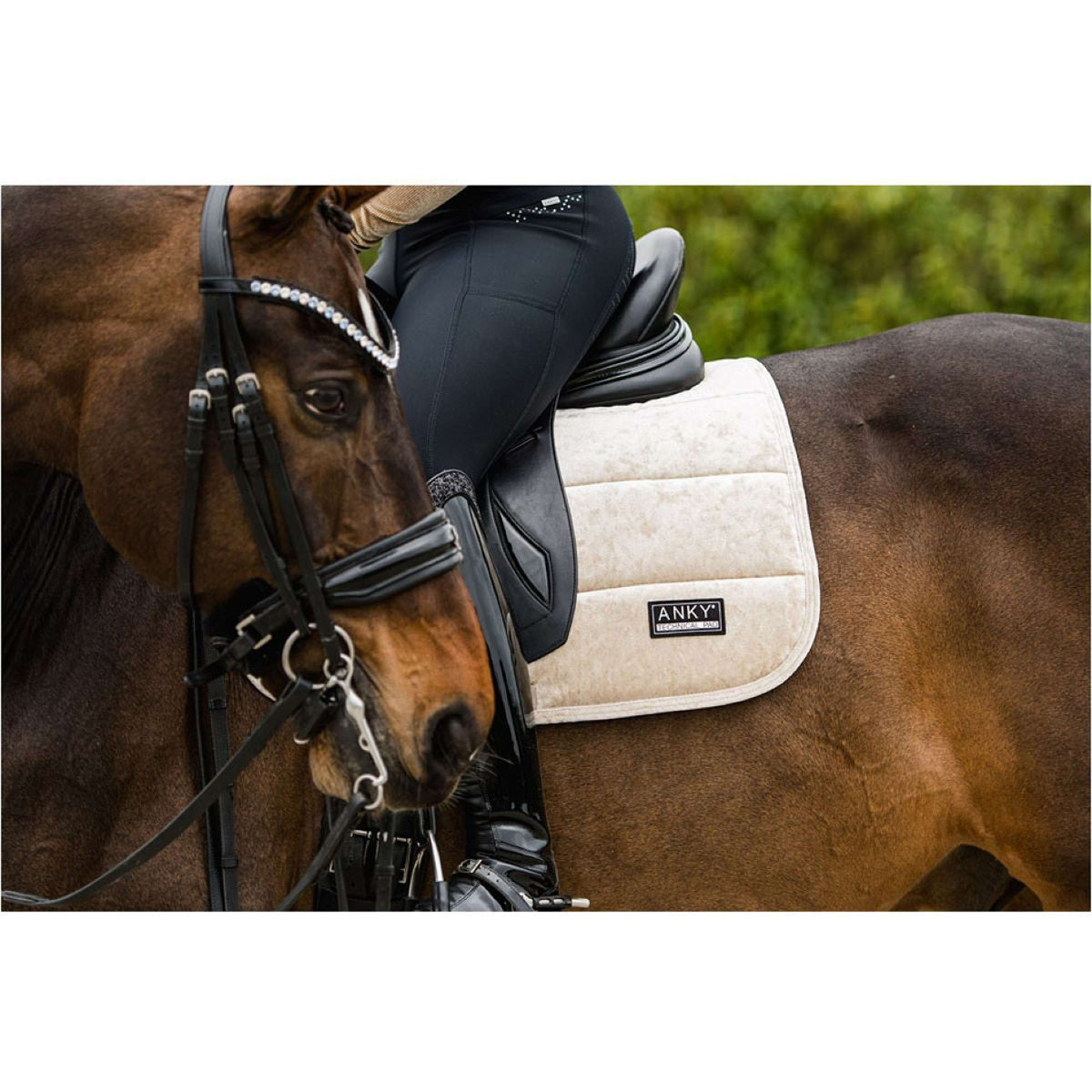 ANKY Tapis de Selle Jubilee Dressage Glamour Beige