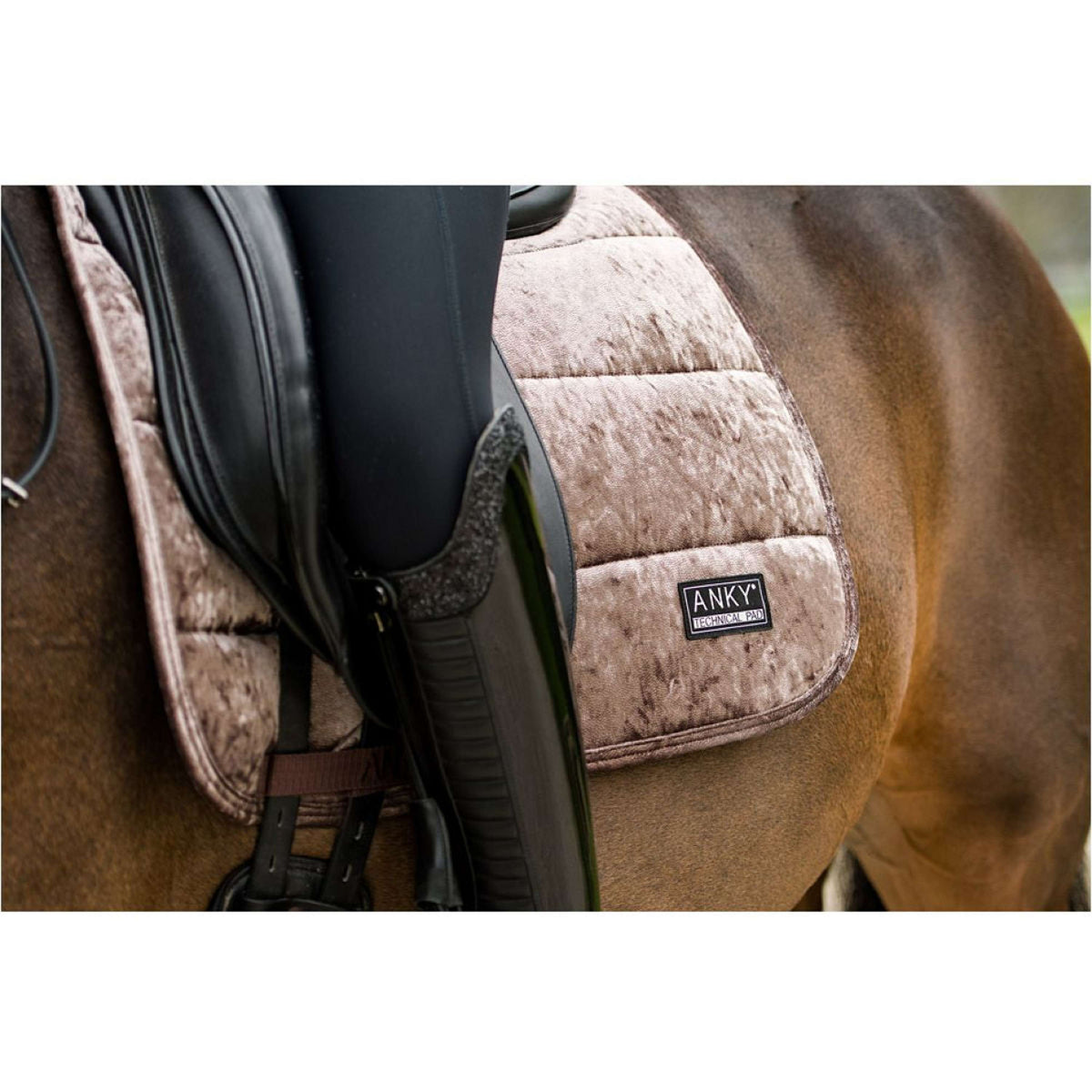 ANKY Tapis de Selle Jubilee Dressage Rose de Cristal