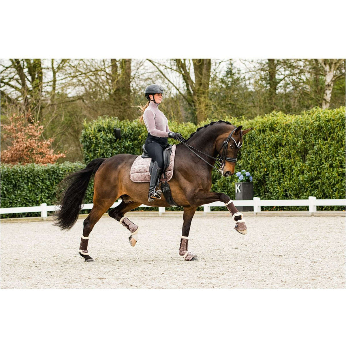 ANKY Tapis de Selle Jubilee Dressage Rose de Cristal