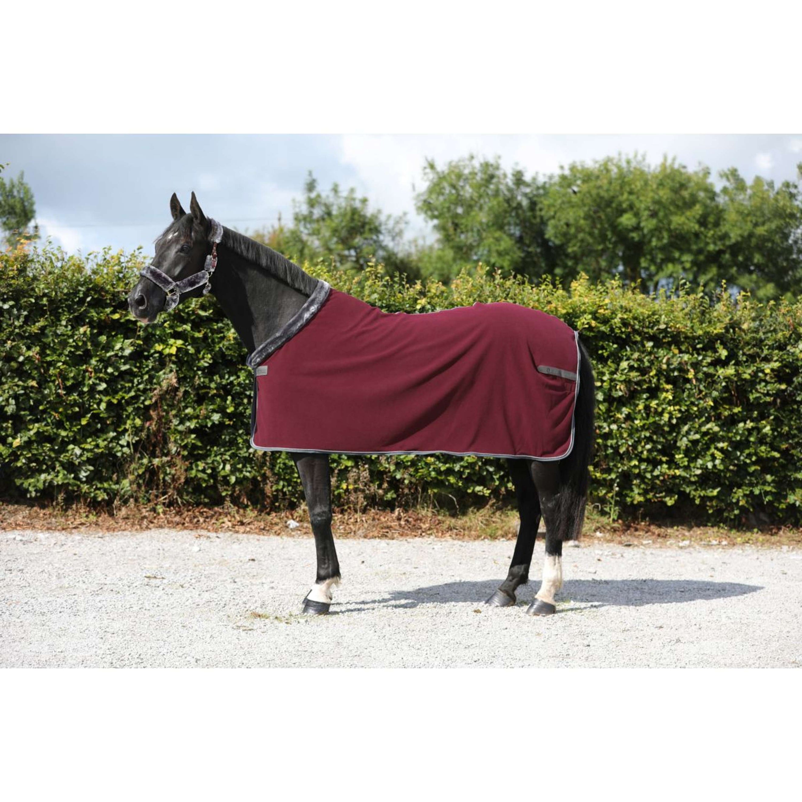 Bucas Couverture Polaire Show-Line 400 Bordeaux