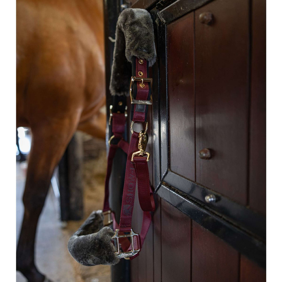 Bucas Licol Show-Line Burgundy/Black