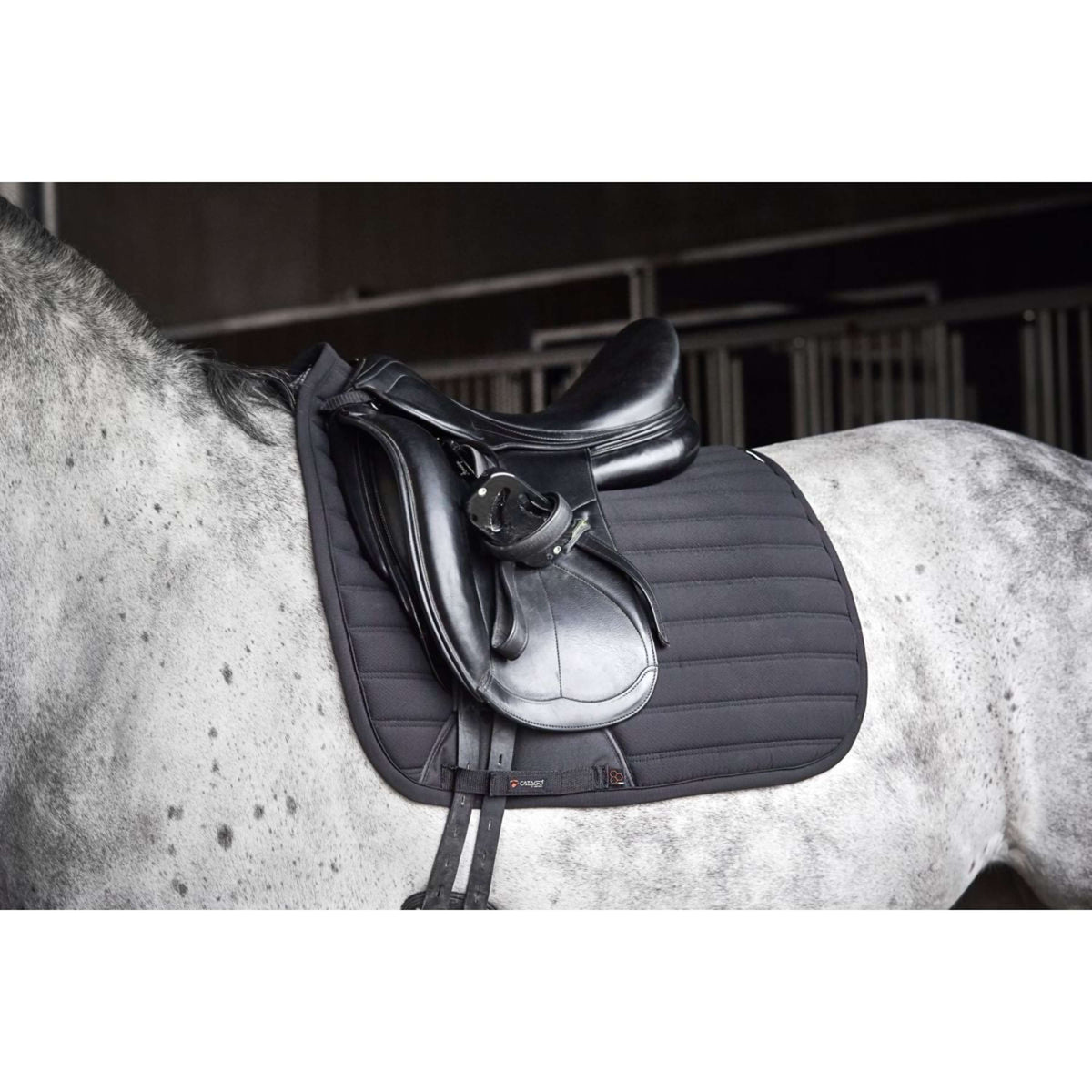 Catago Tapis de Selle Hybrid Dressage Noir