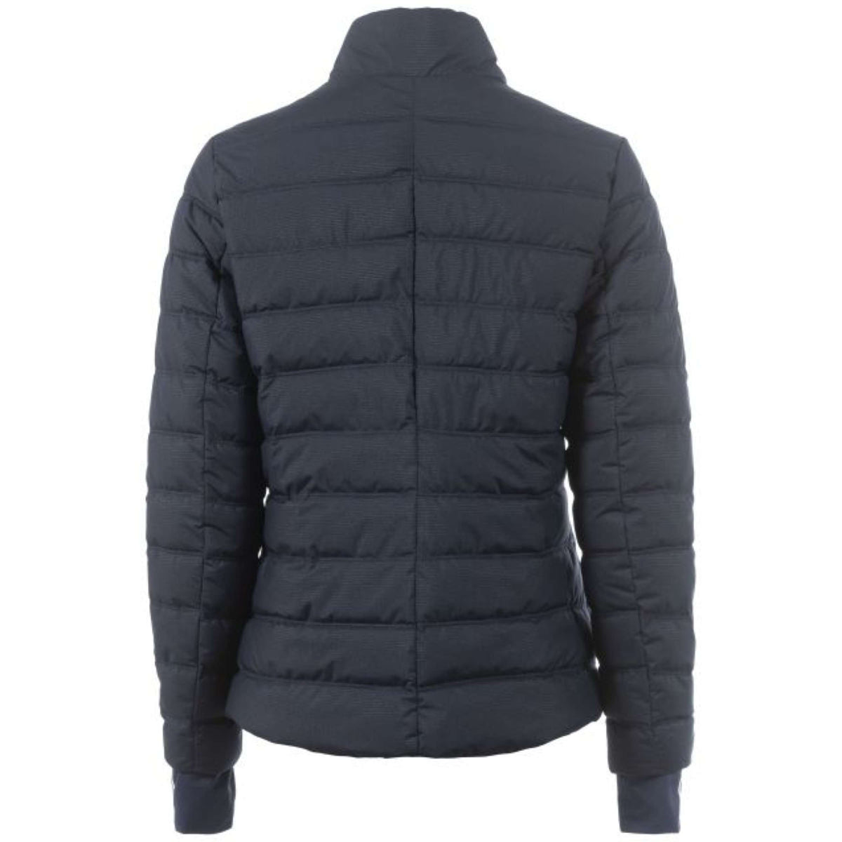 Cavallo Veste CavalNia Bleu foncé