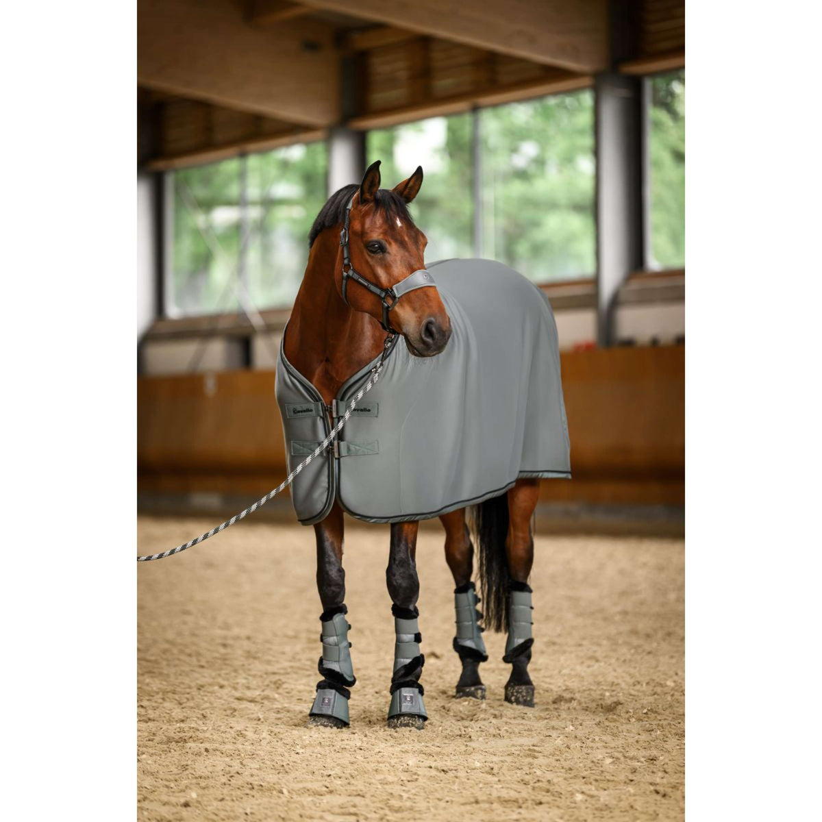 Cavallo Couvertures Anti-Transpiration Caval Quick Dry Thym