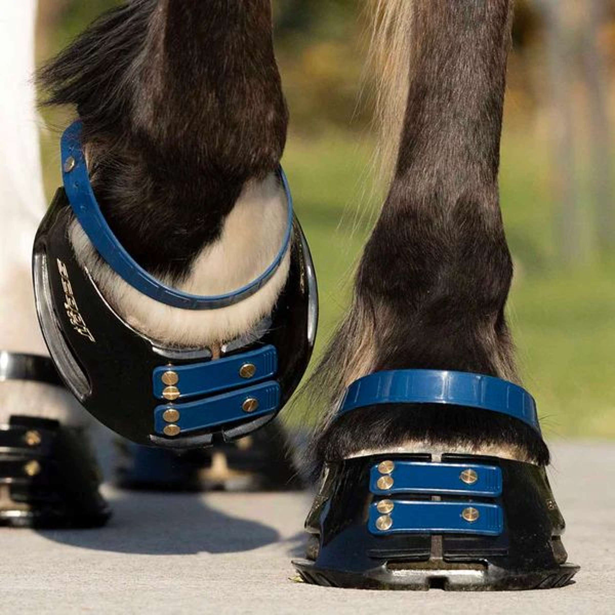 Scoot Boots Pastern Strap Marin