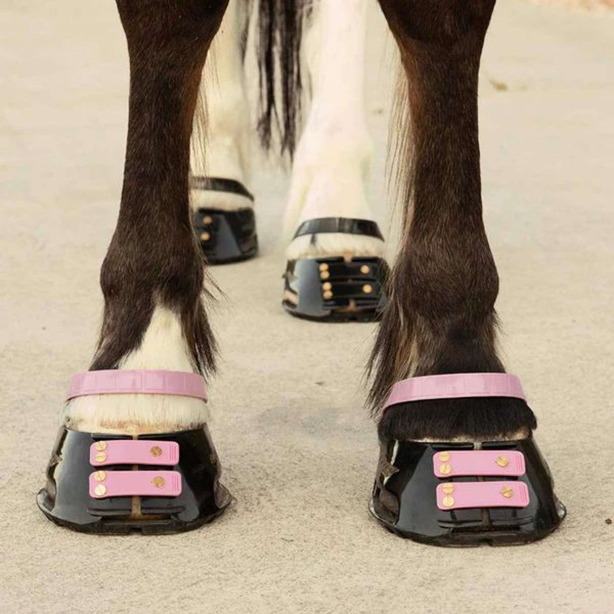 Scoot Boots Pastern Strap Blossom