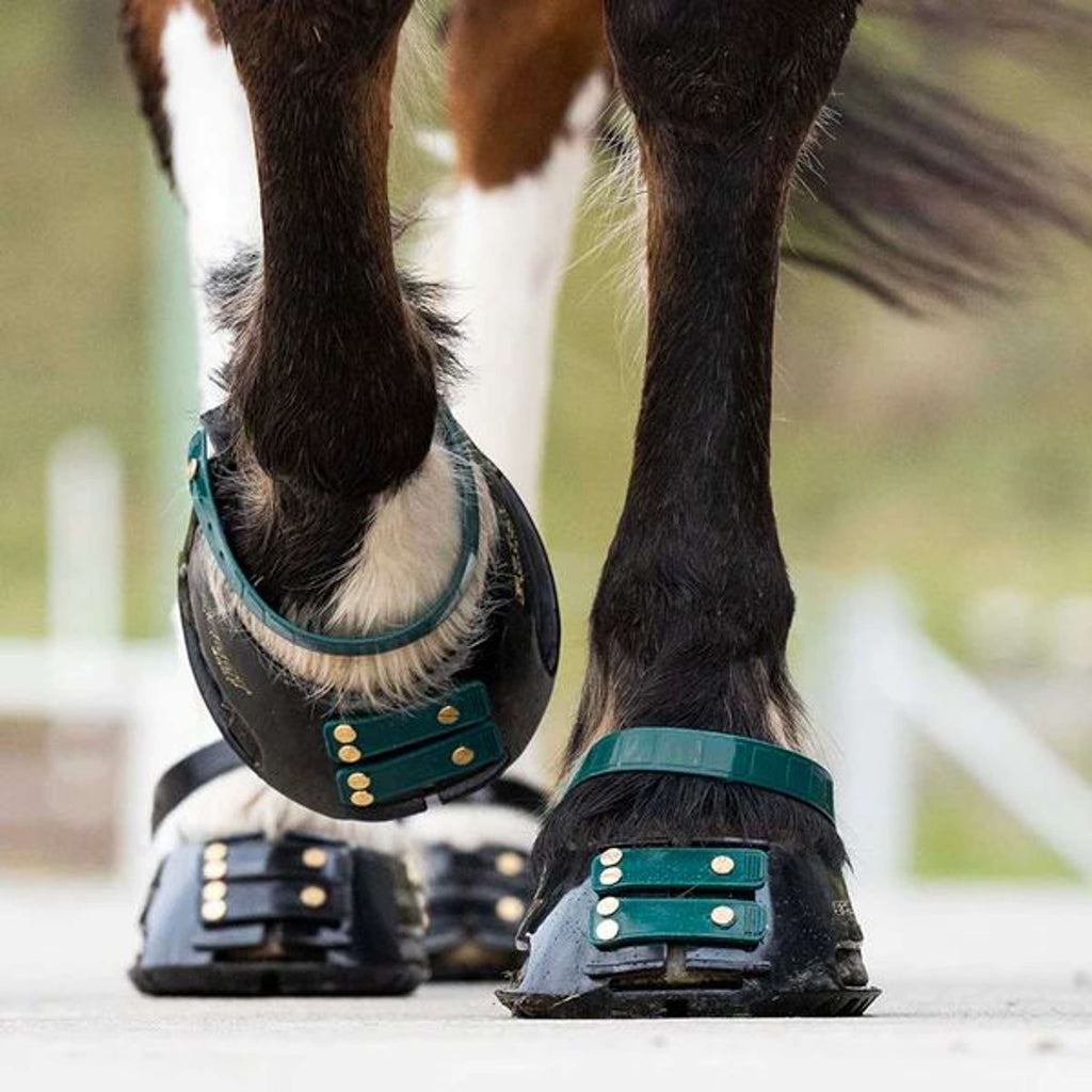 Scoot Boot Front Strap Émeraude