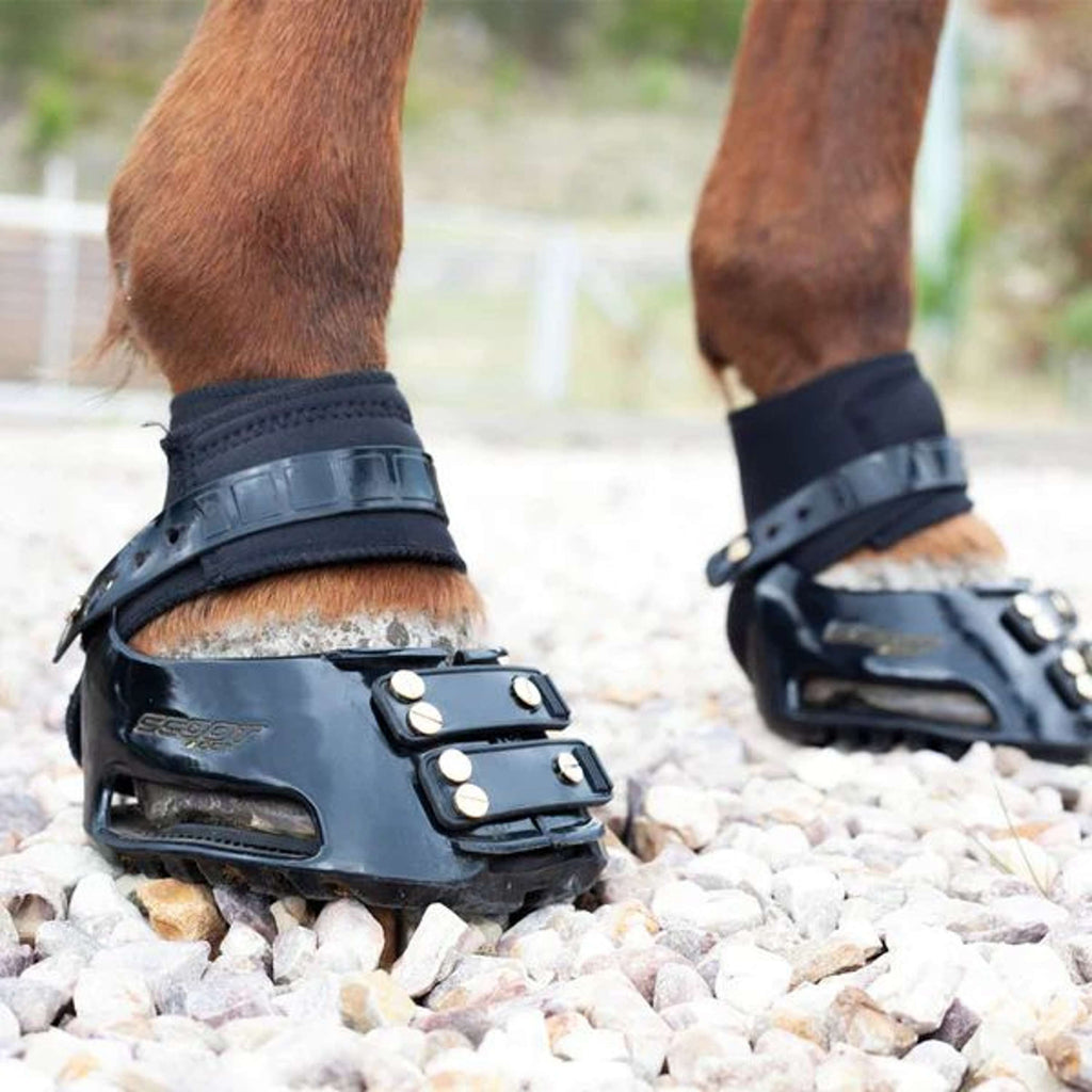 Scoot Boot Endurance Gaiter Noir