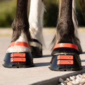 Scoot Boots Pastern Strap Hibiscus