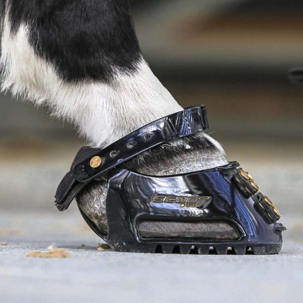Scoot Boot Hipposandale Slim Single Noir