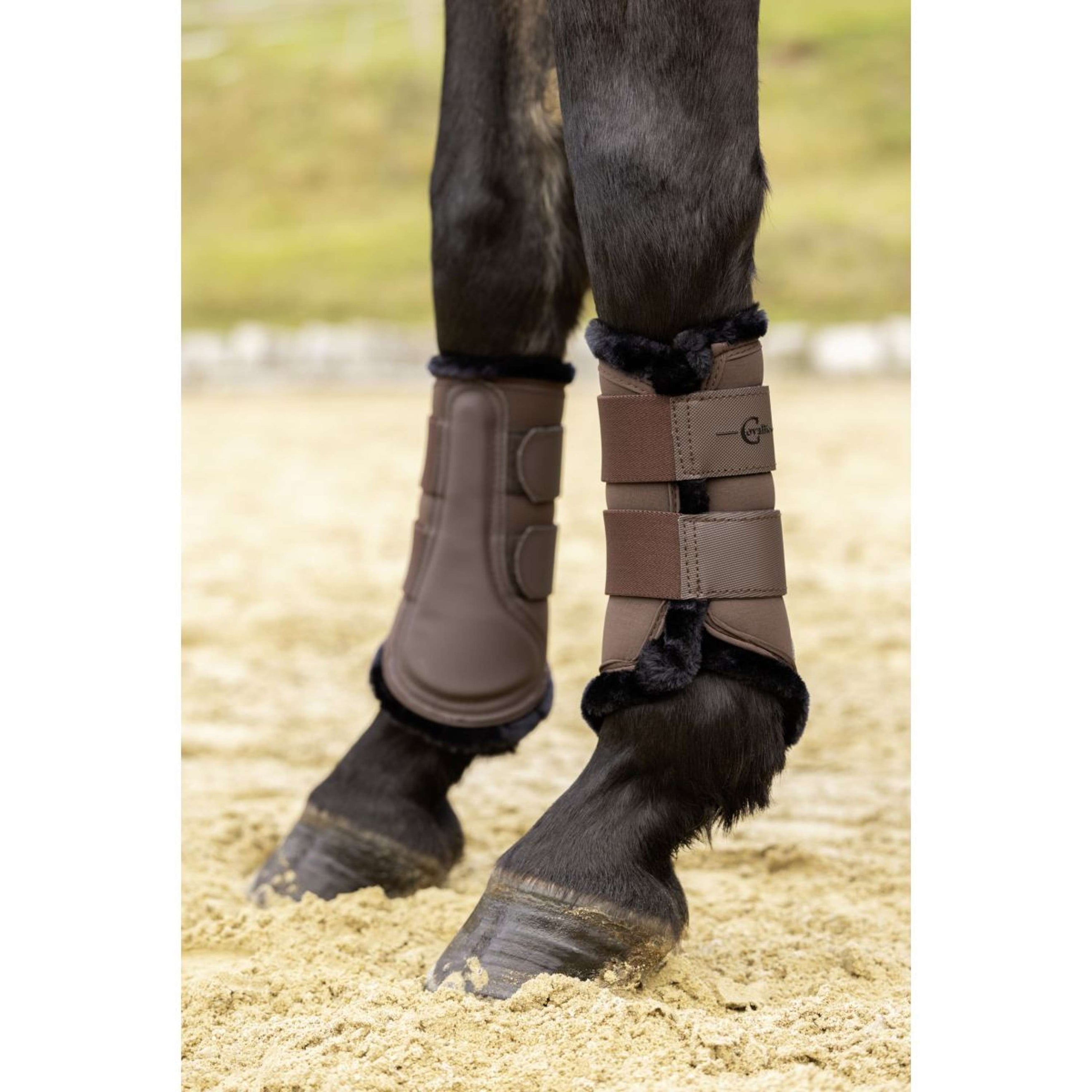 Covalliero Dressage Boots AW24 Café-Marron