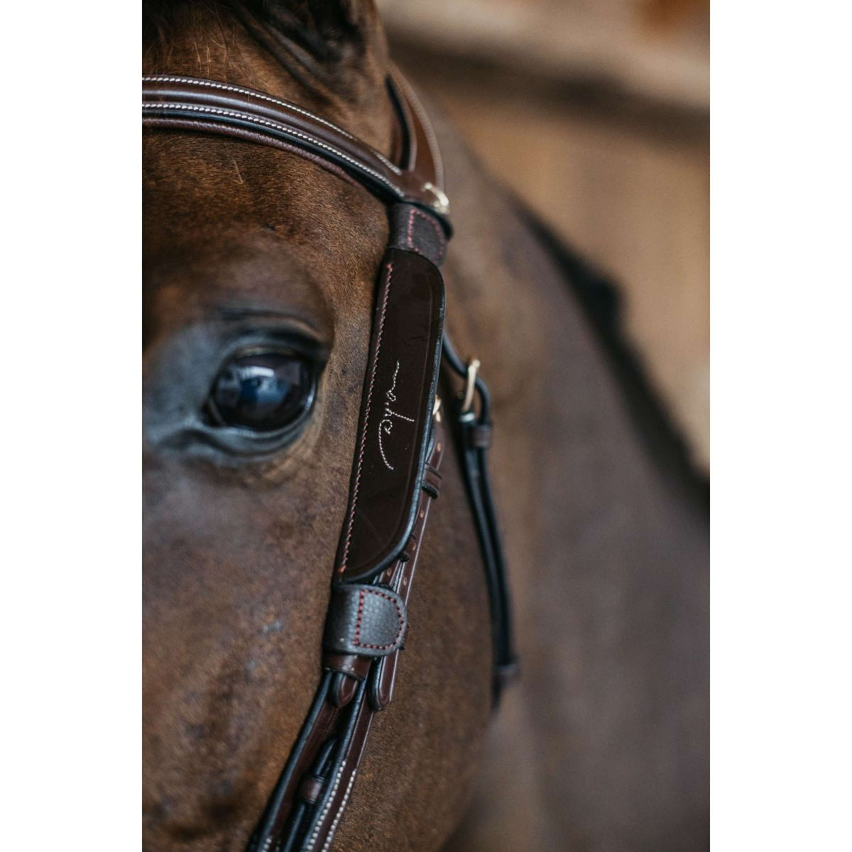 Dyon Blinkers Fancy Marron