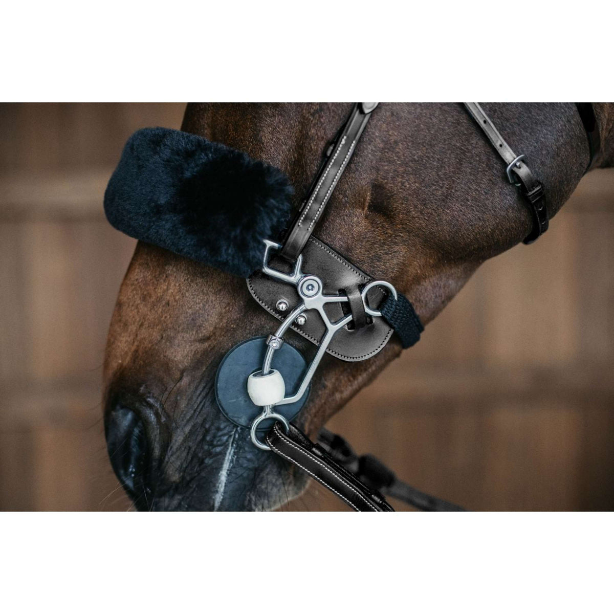 Dyon Protection Hackamore Noir