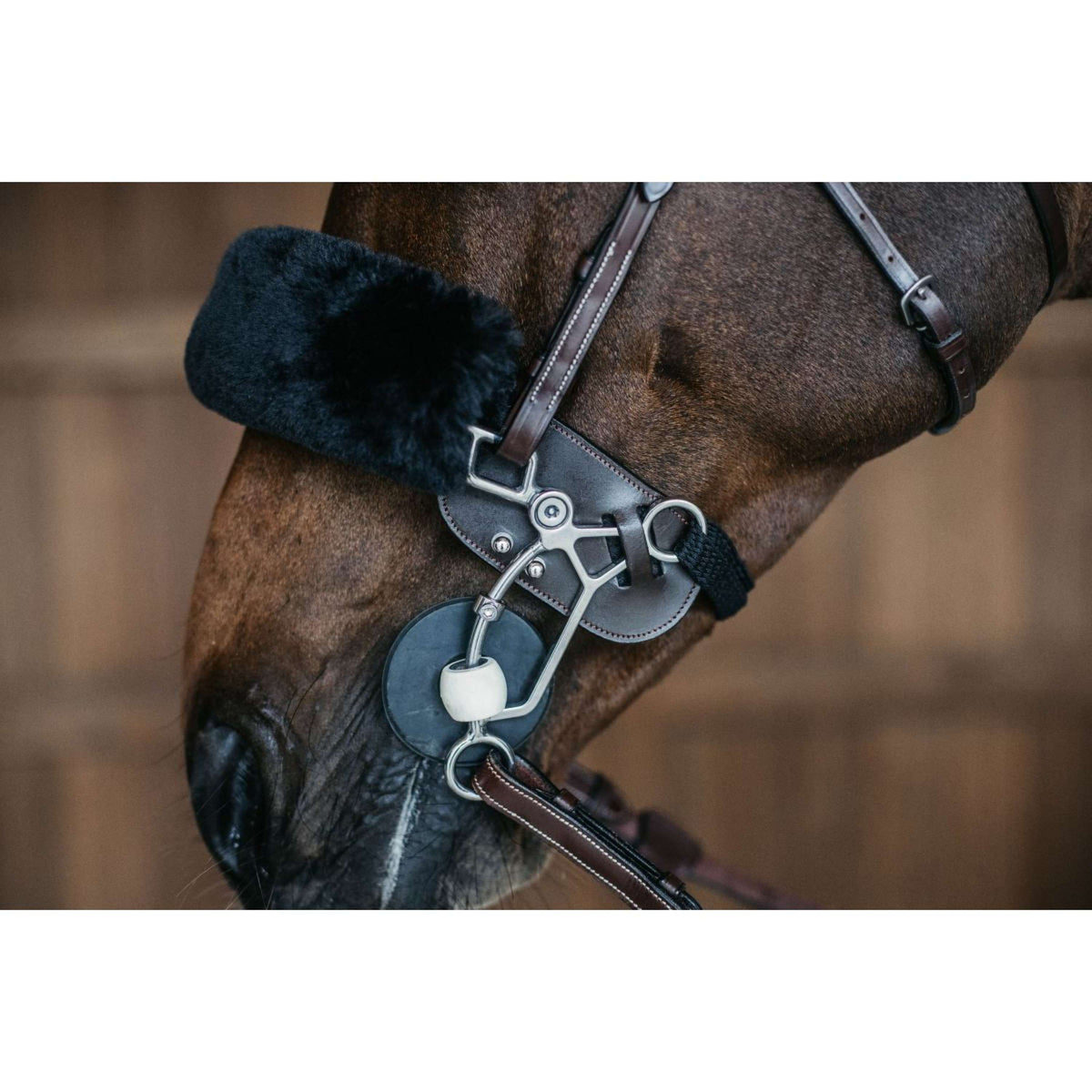 Dyon Protection Hackamore Marron