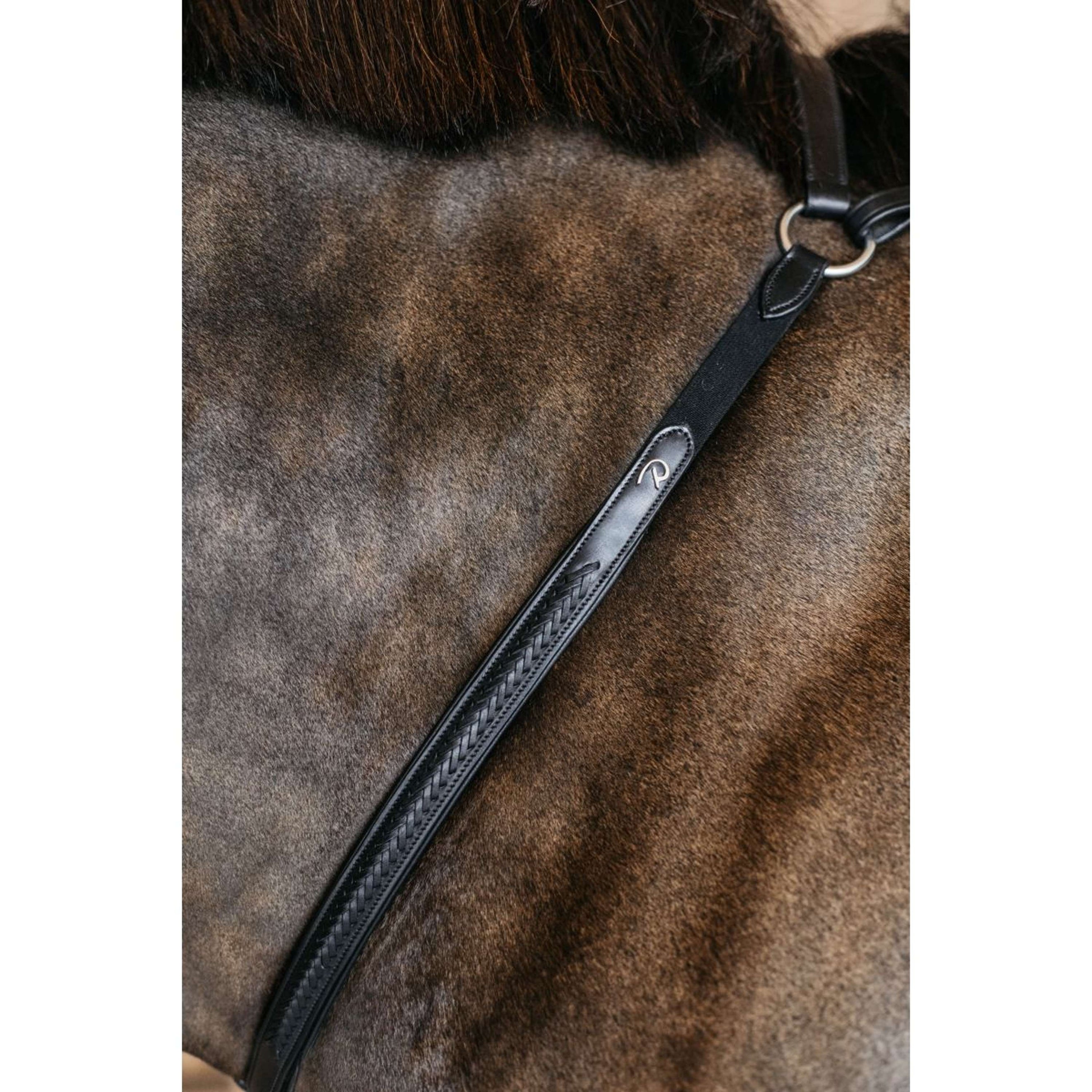 Dyon Collier de Chasse Bridge Tressé Noir