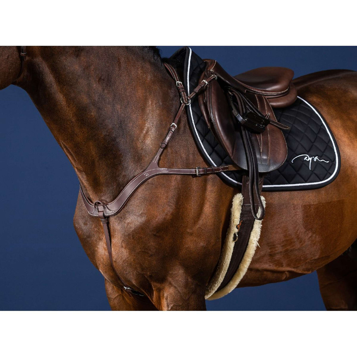 Dyon Collier de Chasse Anatomical Marron/Argent