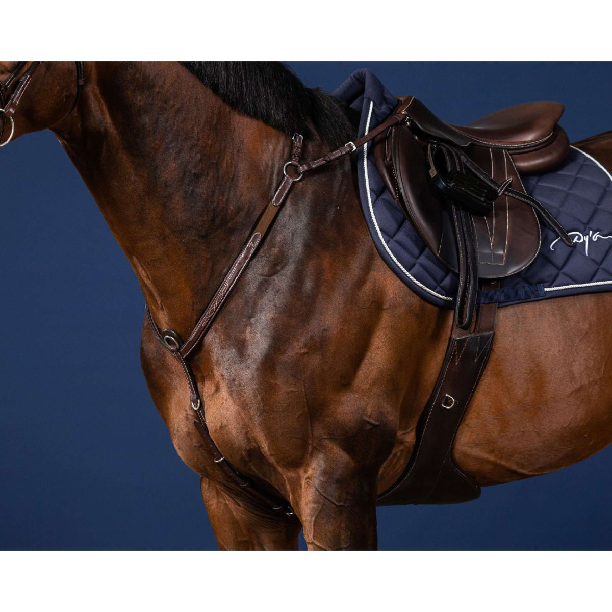 Dyon Collier de Chasse Bridge Marron