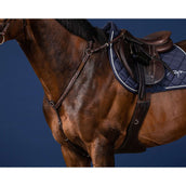 Dyon Collier de Chasse Bridge Marron