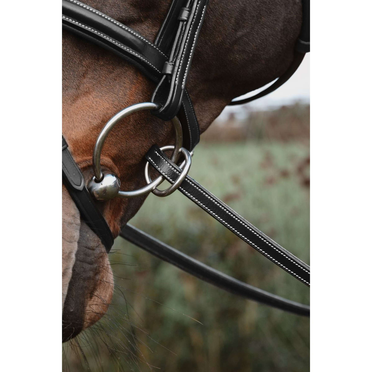 Dyon Rênes 1/2 7 Stops Fermeture par anneau Noir