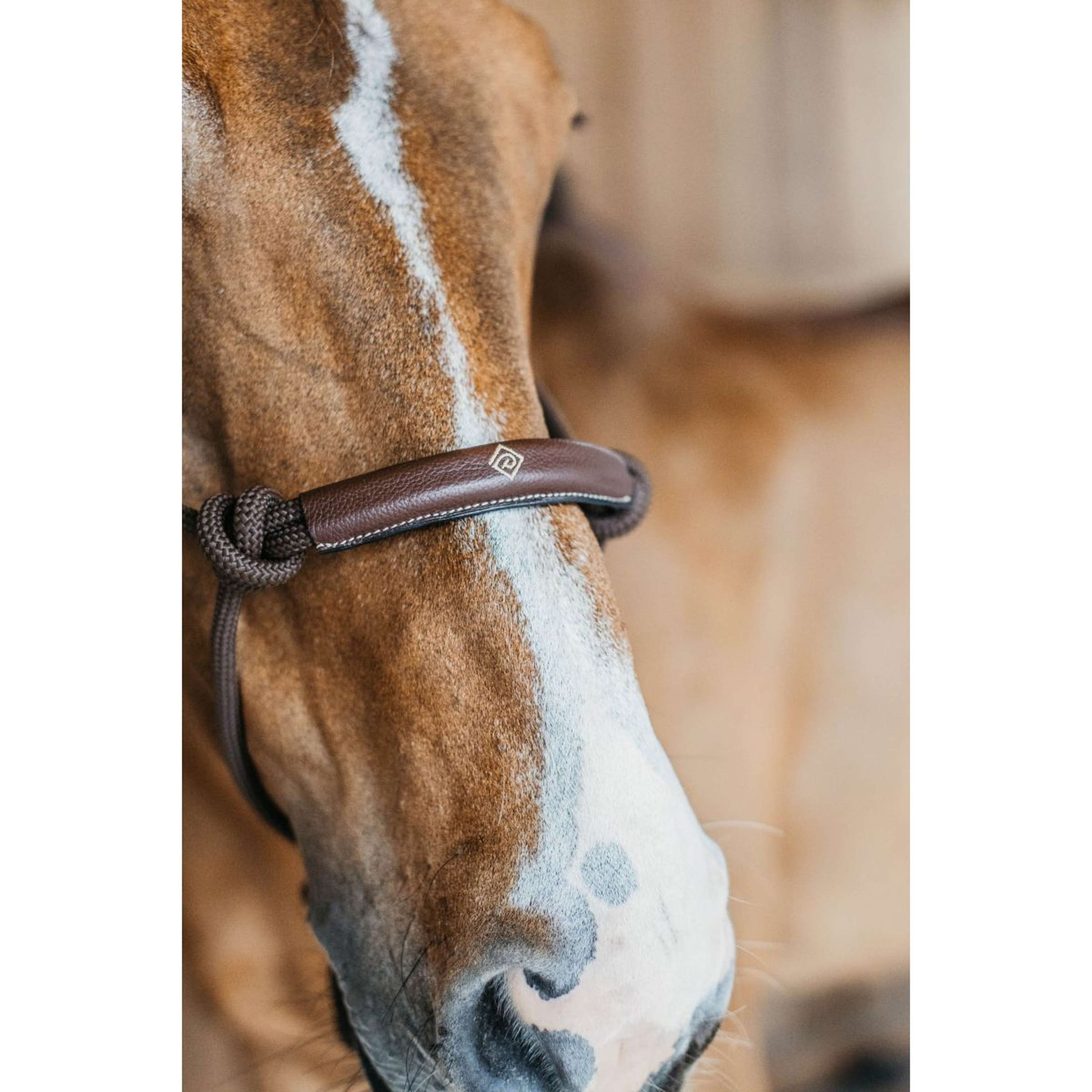 Dyon Licol de Travail Marron Dyon Licol de Travail Marron