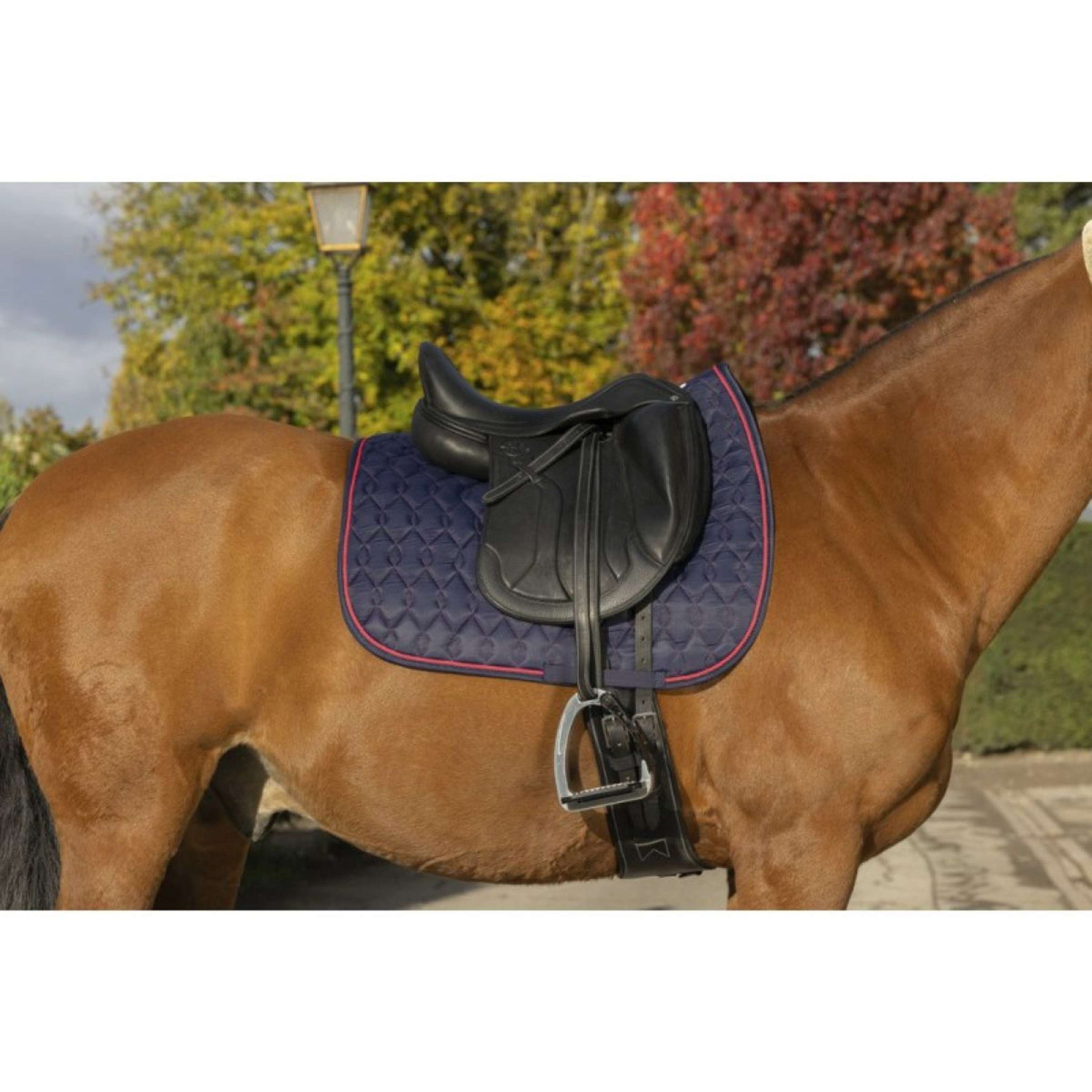 EQUITHÈME Tapis de Selle Double Rope Dressage Navy/Rose