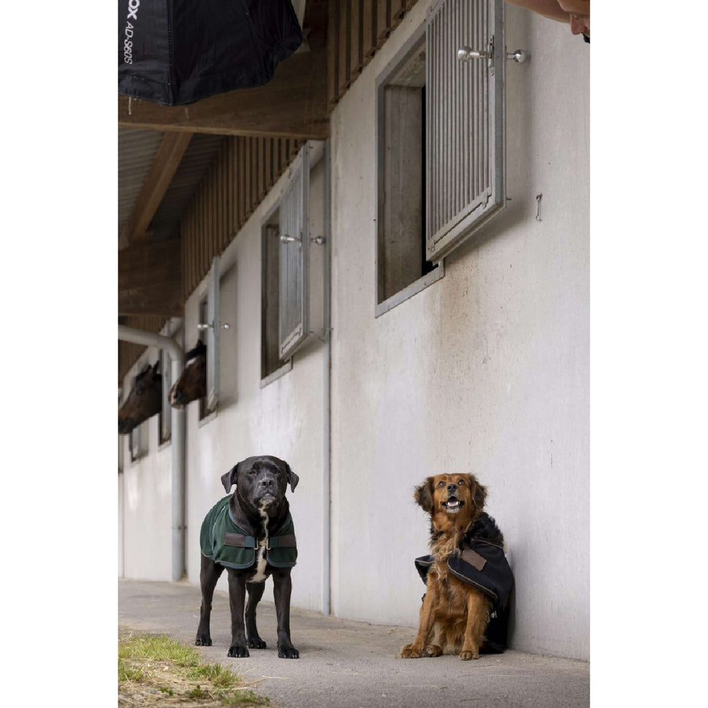 Diego & Louna Couverture pour Chien Polar Noir