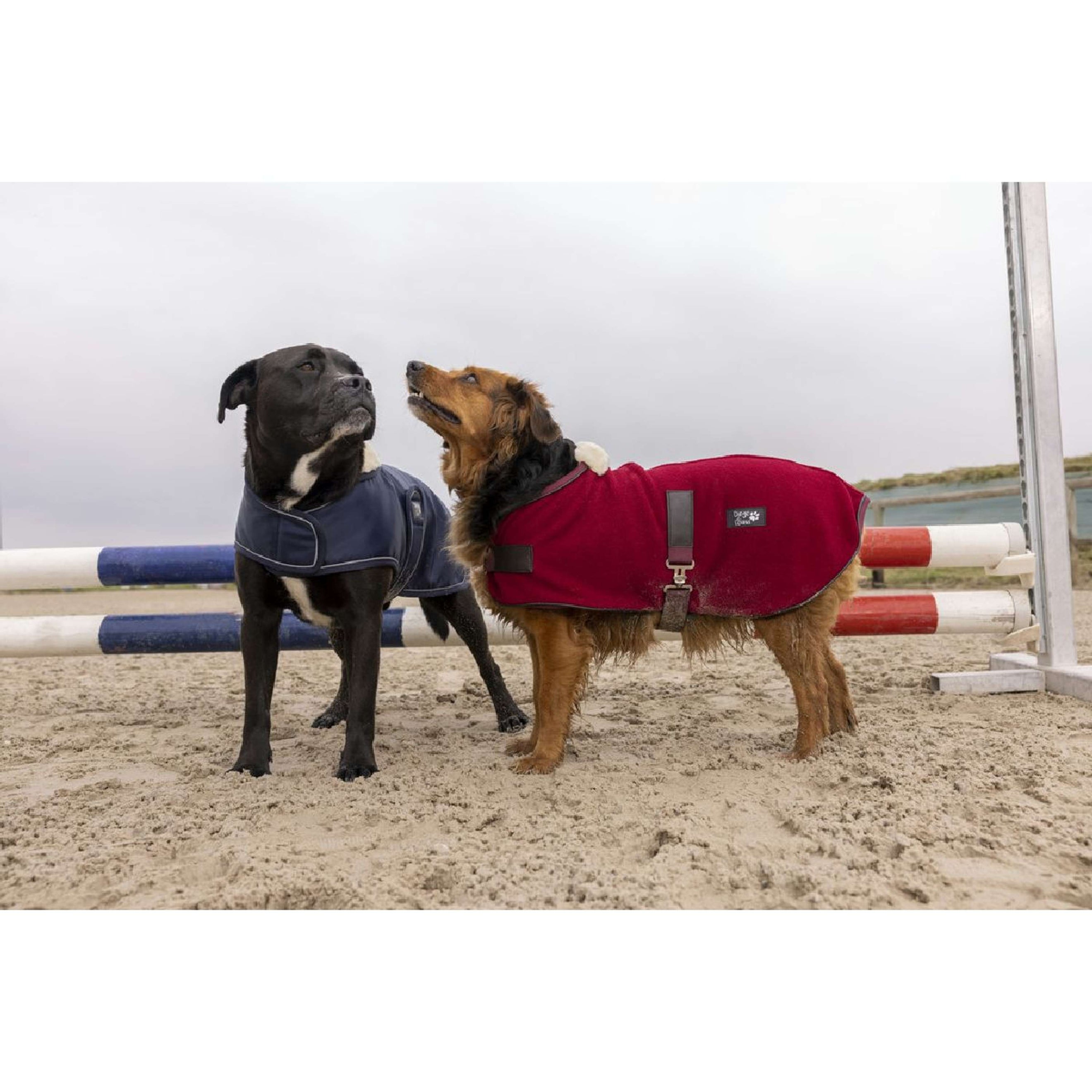 Diego & Louna Couverture pour Chien Polar Marin