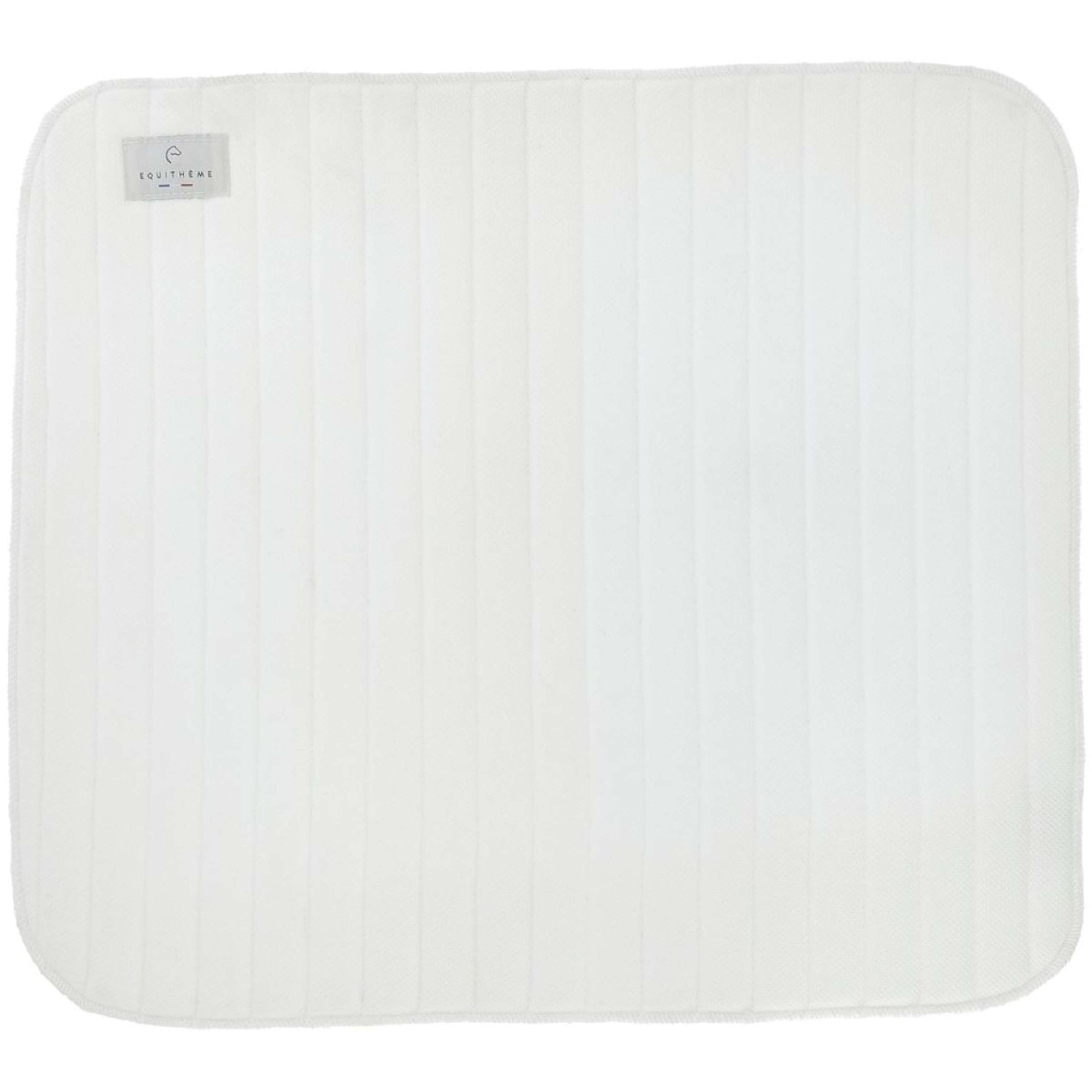 EQUITHÈME Sous-Bandes Cooldry Blanc