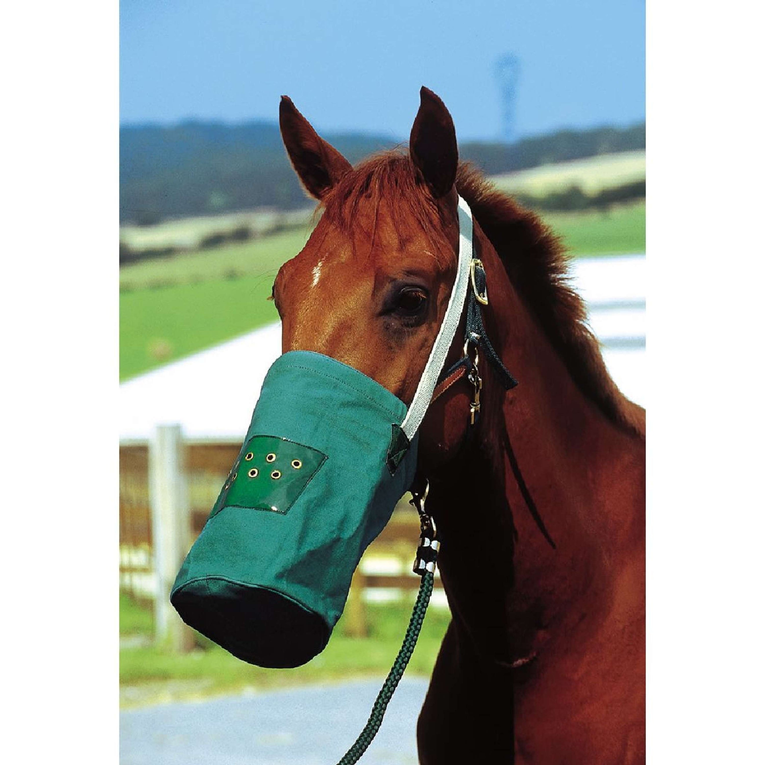Hippotonic Musette Canvas Vert Hippotonic Musette Canvas Vert