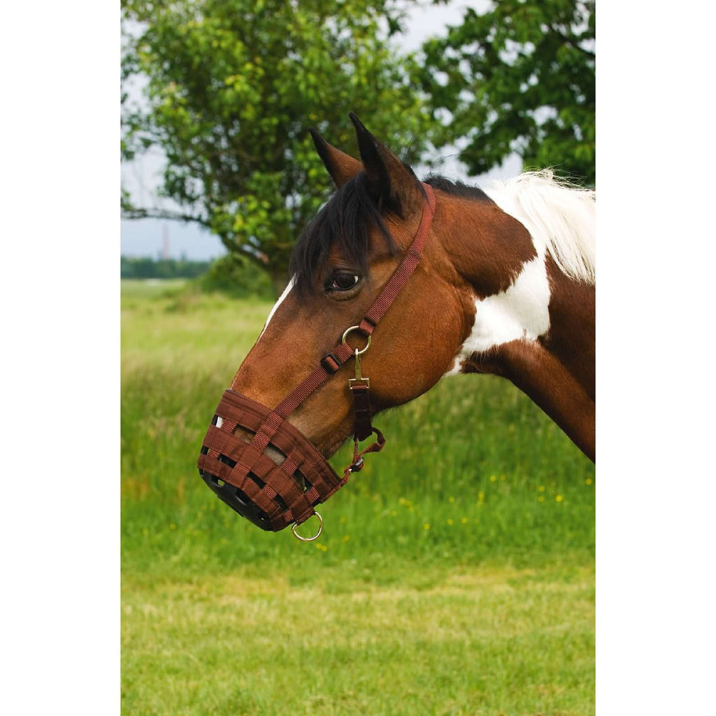 Hippotonic Muselière Anti-Coliques Nylon Choco