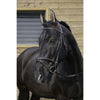 Riding World Bride avec Muserolle Combinée Havane
