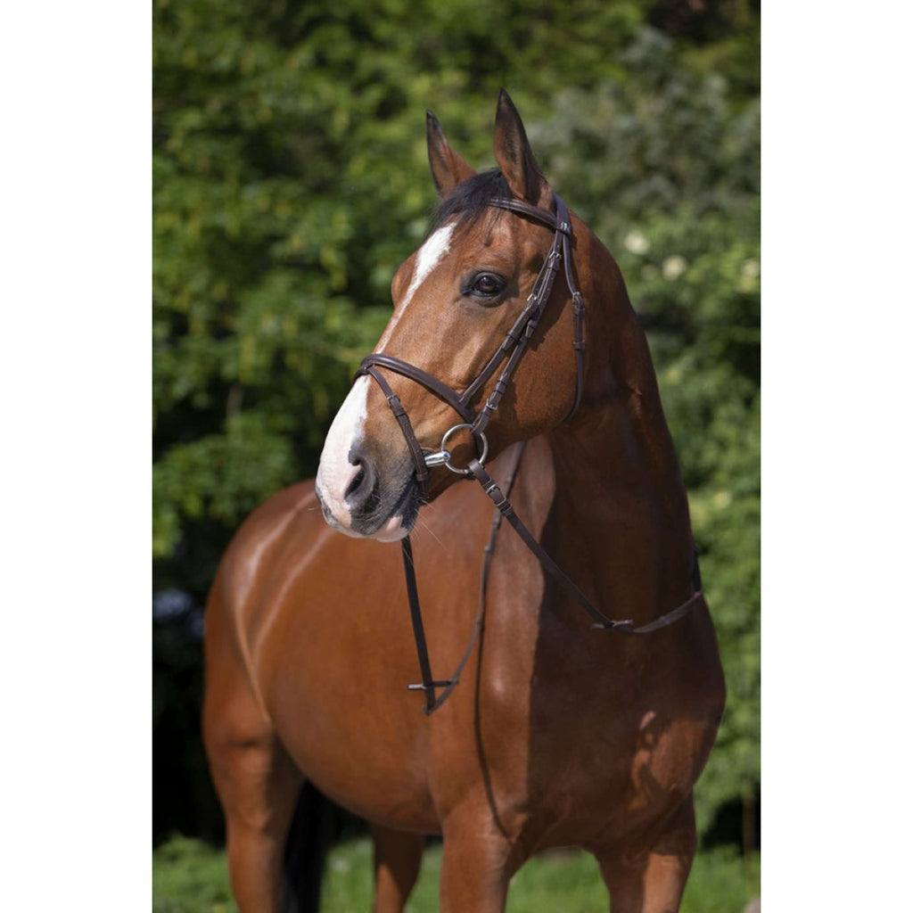 Riding World Bride avec Muserolle Combinée Havane