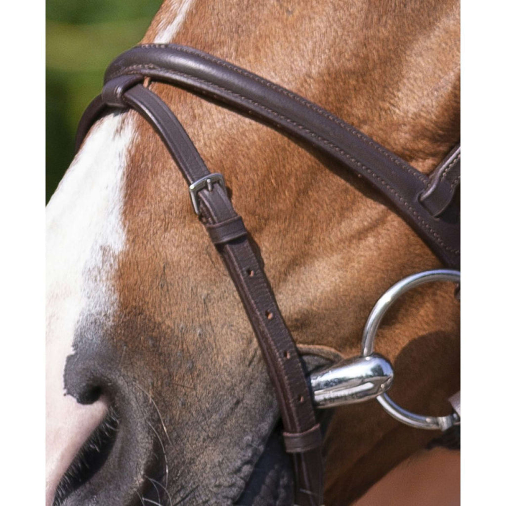 Riding World Bride avec Muserolle Combinée Havane