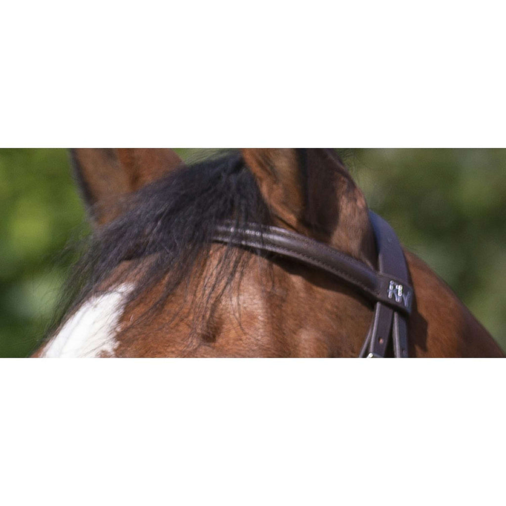 Riding World Bride avec Muserolle Combinée Havane
