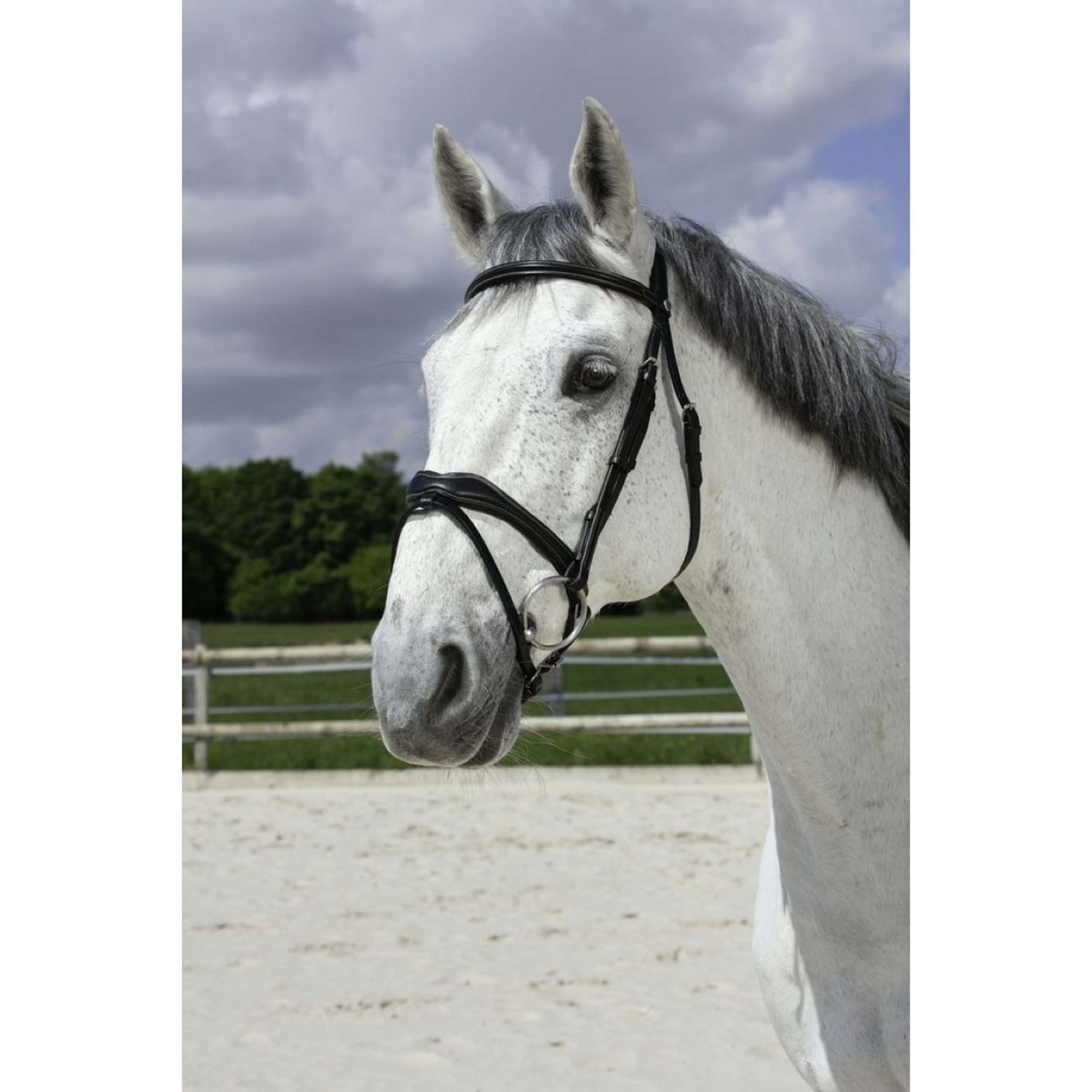 Norton Bride Pro Vague Noir Norton Bride Pro Vague Noir