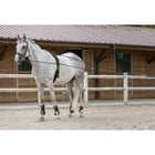 Riding World longues Rênes Cuir/Corde Havane