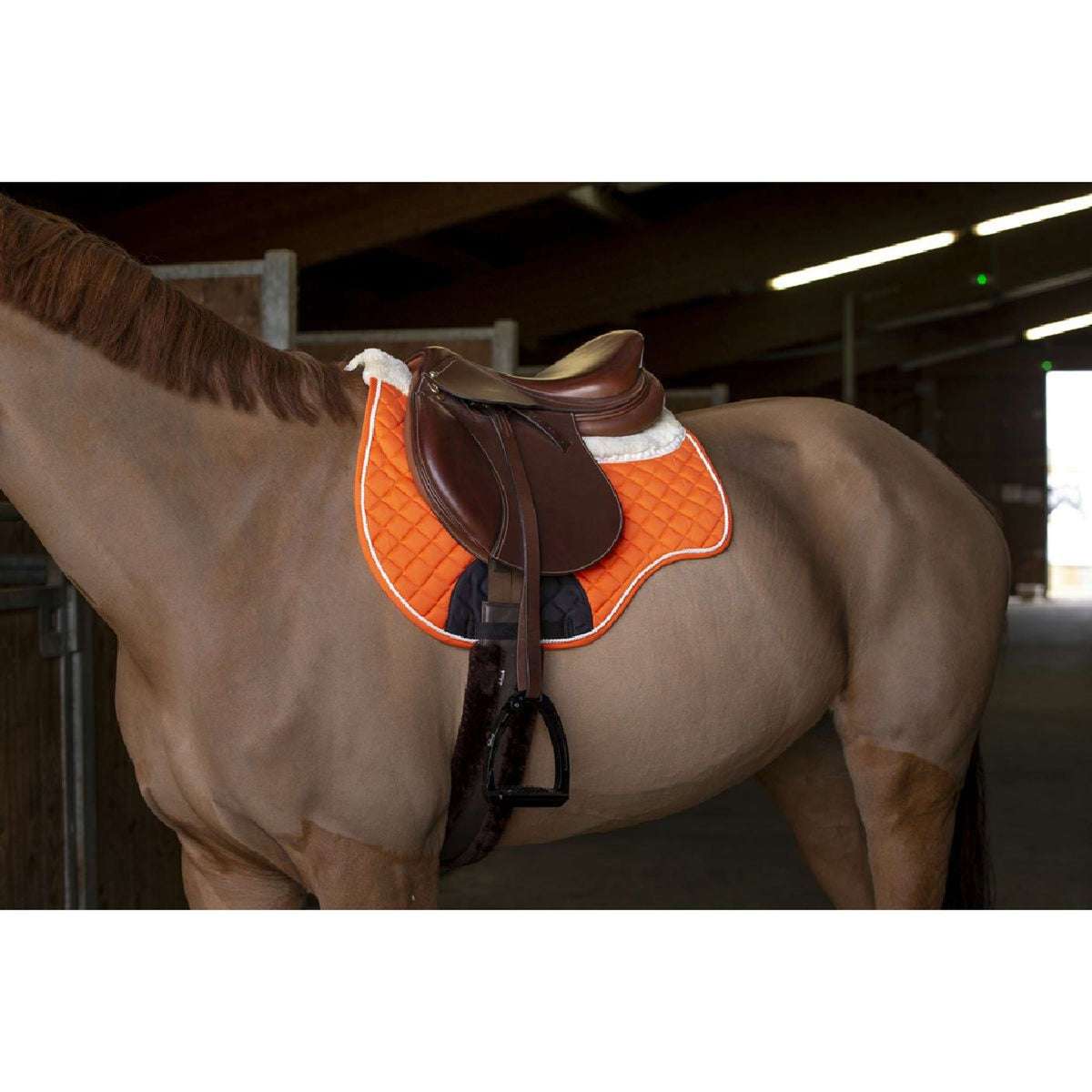 Norton Tapis de Selle Confort Orange