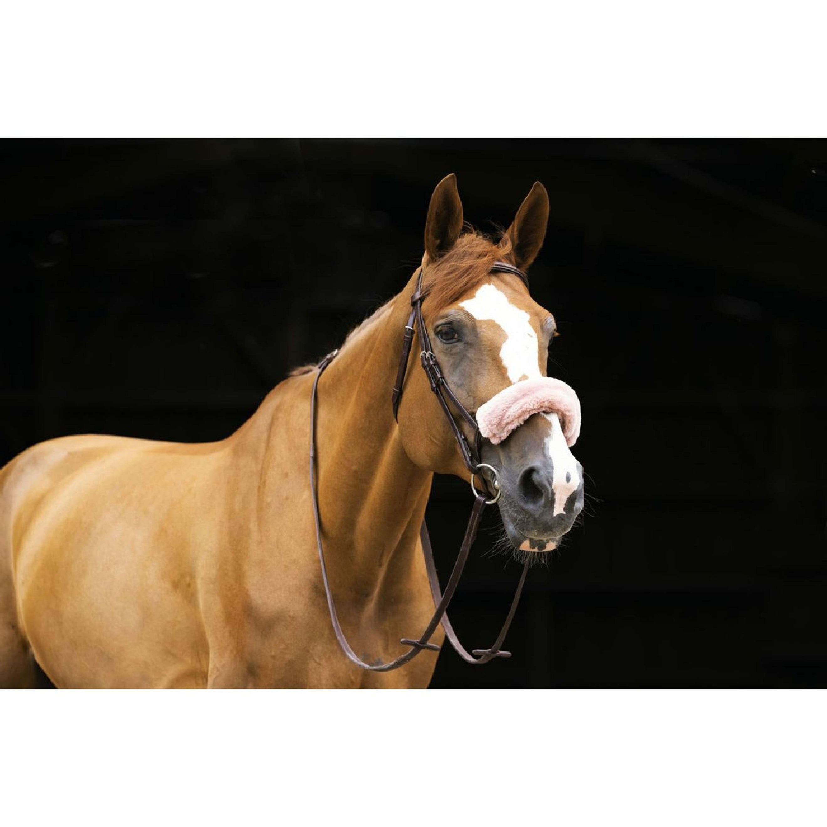 EQUITHÈME Fourreau Muserolle Teddy Or Rose EQUITHÈME Fourreau Muserolle Teddy Or Rose