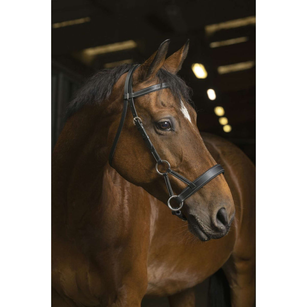 Norton Side-Pull Pro Confort Noir